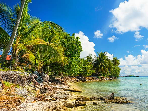 Tuamotu (Rangiroa)
