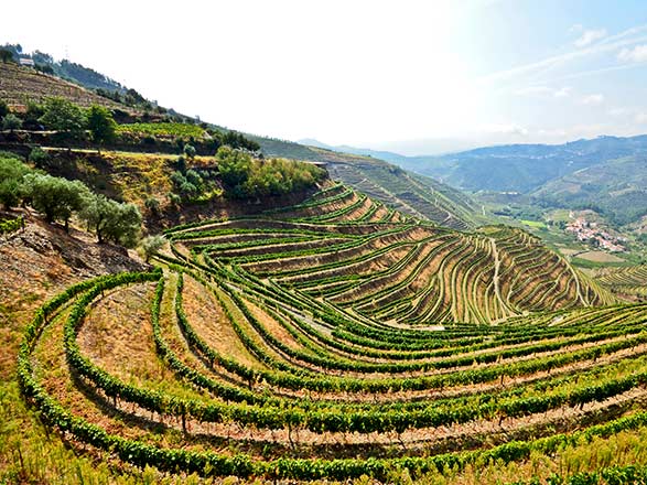 Regua - Porto Antico (Portugal)