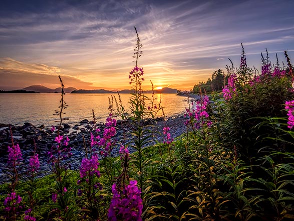 Alaska (Sitka)