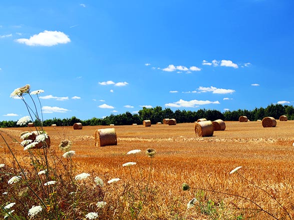 SAINT-JEAN-DE-LOSNE