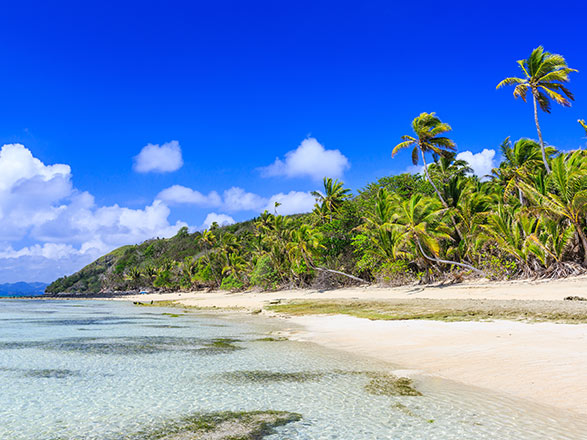 Iles Fidji (Suva)