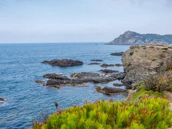 Toulon (La Seyne sur Mer)
